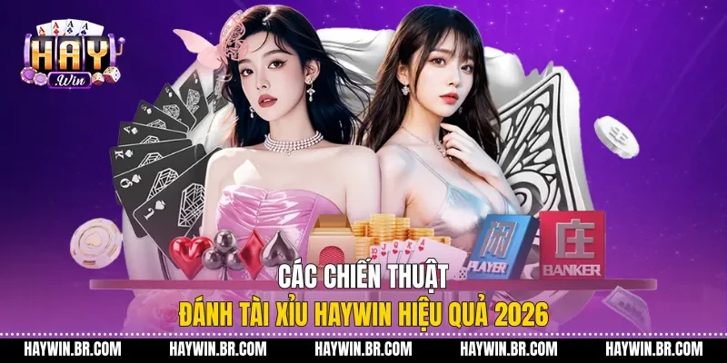 Các Chiến Thuật Đánh Tài Xỉu Haywin Hiệu Quả 2026