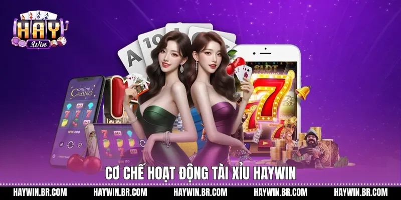 Cơ chế hoạt động tài xỉu Haywin