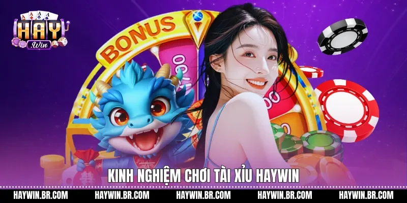 Kinh nghiệm chơi Tài xỉu Haywin