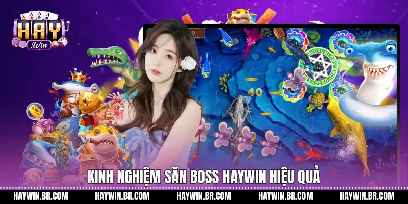 Kinh nghiệm săn boss Haywin hiệu quả
