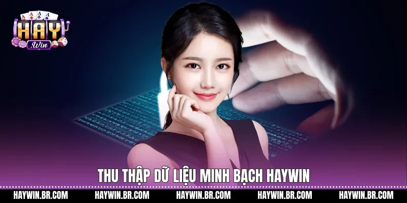 Thu thập dữ liệu minh bạch Haywin