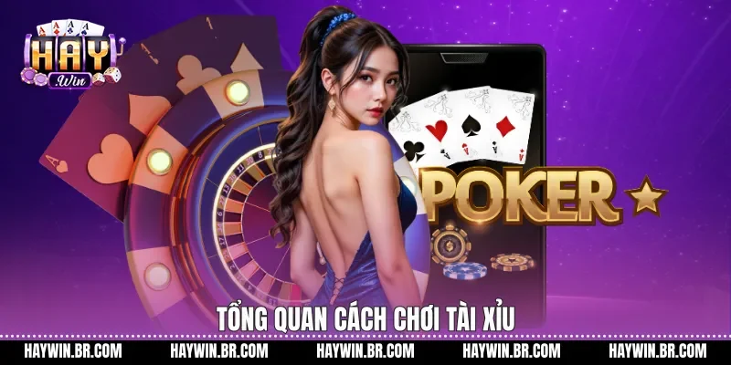 Tổng quan Cách chơi tài xỉu